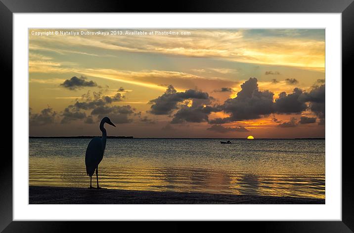 Sunset in Florida Framed Mounted Print by Nataliya Dubrovskaya