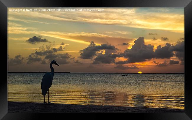 Sunset in Florida Framed Print by Nataliya Dubrovskaya
