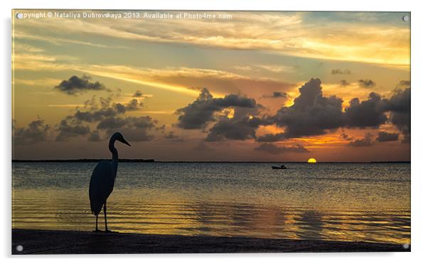 Sunset in Florida Acrylic by Nataliya Dubrovskaya