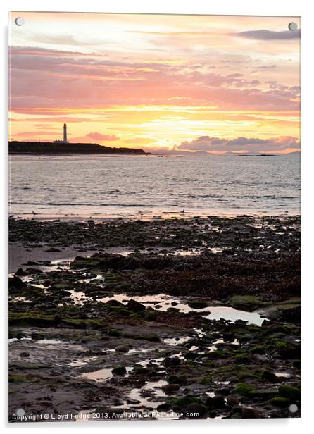 Lossiemouths lighthouse at sunset Acrylic by Lloyd Fudge