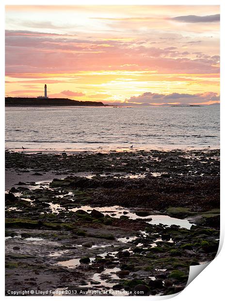 Lossiemouths lighthouse at sunset Print by Lloyd Fudge