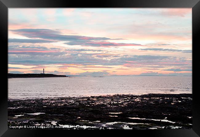 Late evening sunset in Lossiemouth Framed Print by Lloyd Fudge