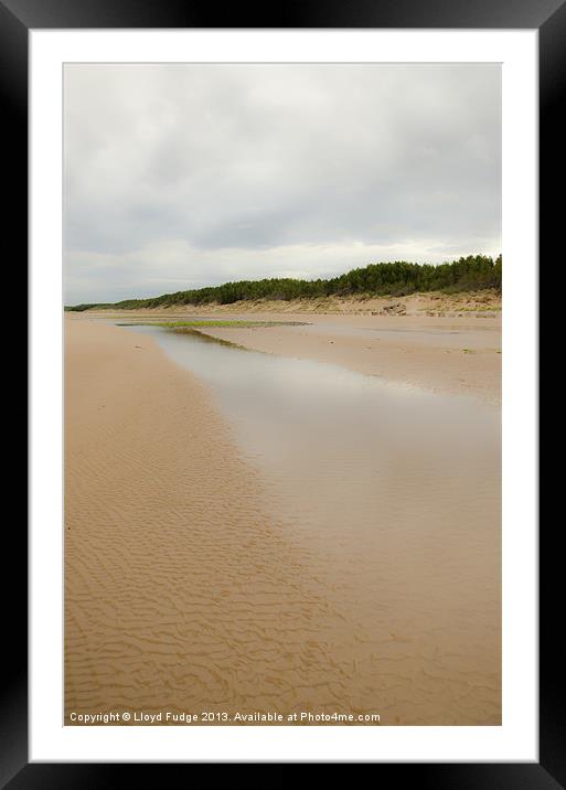 Sandy beach Framed Mounted Print by Lloyd Fudge