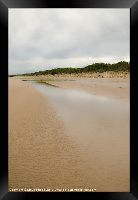 Sandy beach Framed Print by Lloyd Fudge