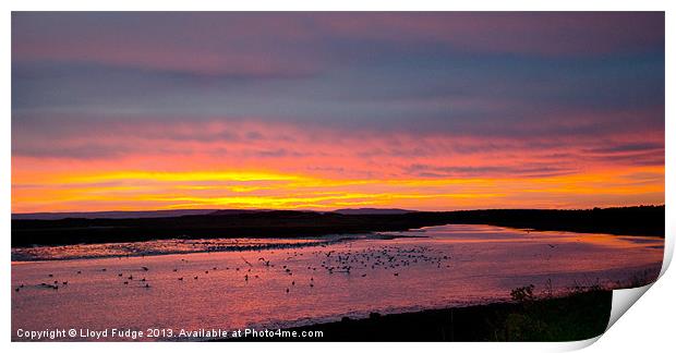 Early morning sunrise in Lossiemouth Print by Lloyd Fudge