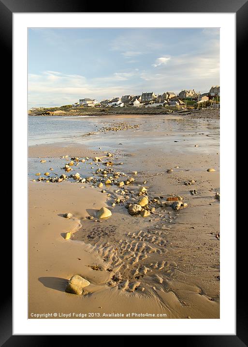 lossiemouth beach on a warm winters day Framed Mounted Print by Lloyd Fudge