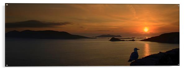 Sunset Blasket Islands Acrylic by barbara walsh
