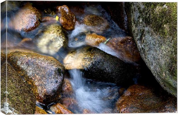 Soft water through rocks Canvas Print by Sharon Kingston