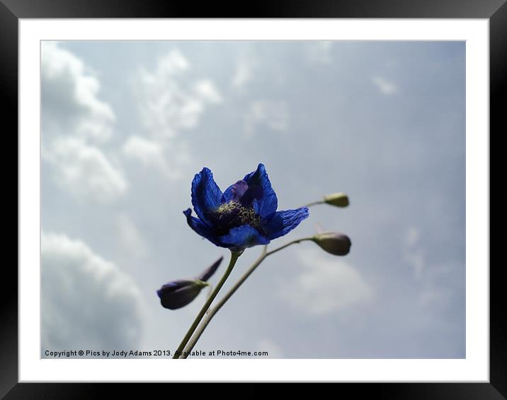 Blue to the Sky Framed Mounted Print by Pics by Jody Adams