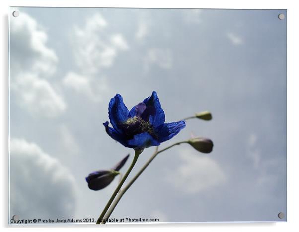 Blue to the Sky Acrylic by Pics by Jody Adams