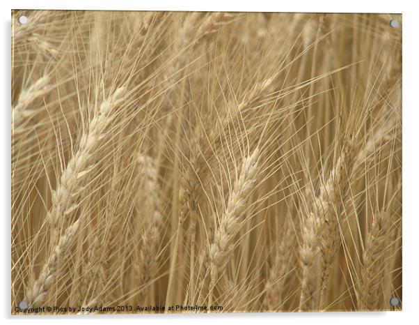 Wheat Field Acrylic by Pics by Jody Adams
