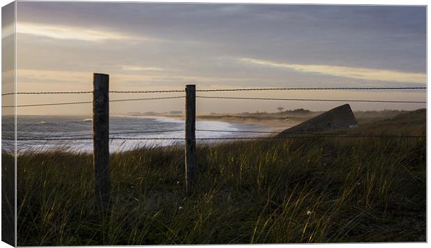 World War II sunken bunker Canvas Print by Ian Jones