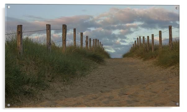Sandy path Acrylic by Ian Jones