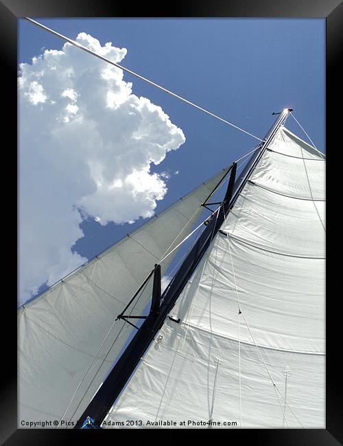Sailing in the Sun Framed Print by Pics by Jody Adams