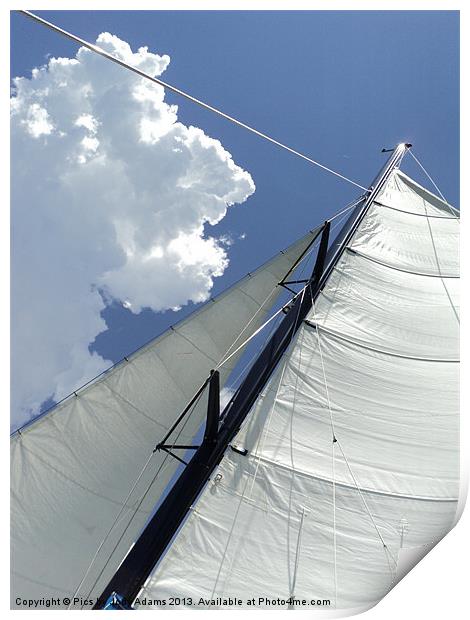 Sailing in the Sun Print by Pics by Jody Adams