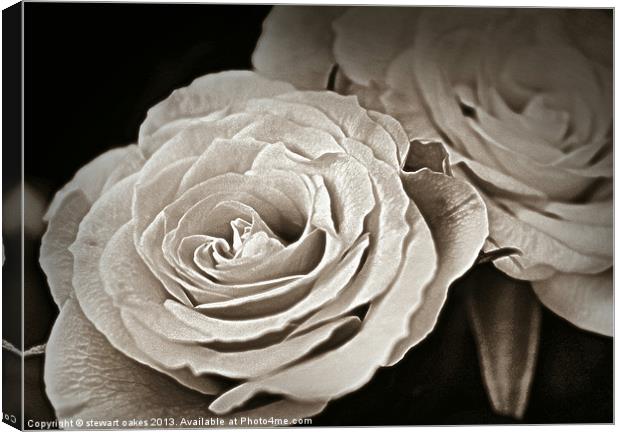 floral collection 6 Canvas Print by stewart oakes