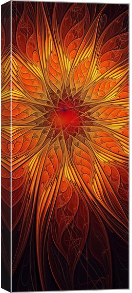 Great Ball of Fire Canvas Print by Amanda Moore