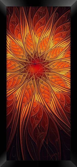 Great Ball of Fire Framed Print by Amanda Moore