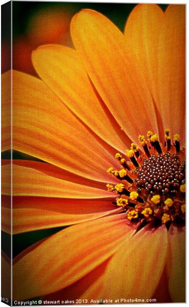 floral collection 9 Canvas Print by stewart oakes