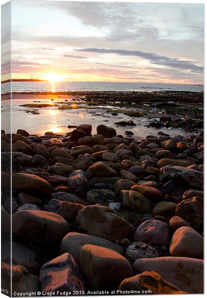 sunset over Lossiemouth beach Canvas Print by Lloyd Fudge