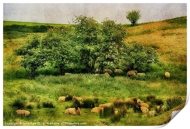 Meadow Sheep Print by Julie Coe
