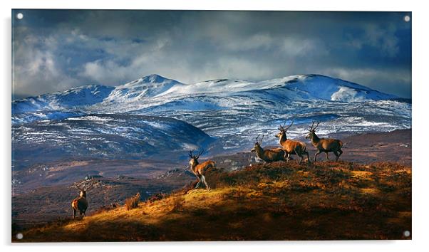 Above Strathglass Acrylic by Macrae Images