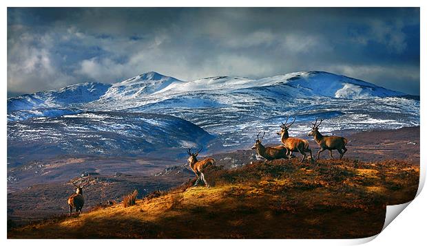Above Strathglass Print by Macrae Images