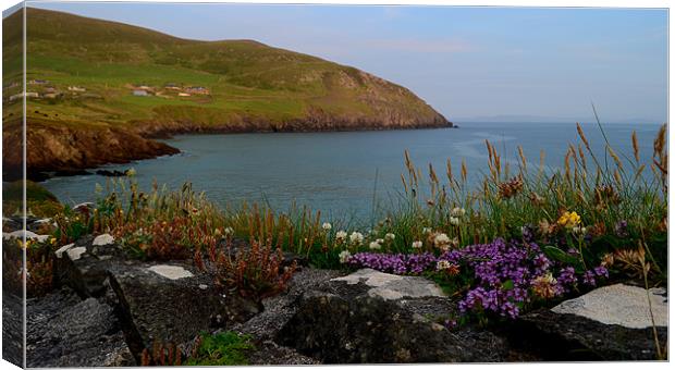 Coumeenole Canvas Print by barbara walsh