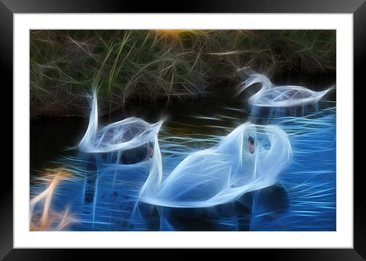 fractal swans Framed Mounted Print by kev bates