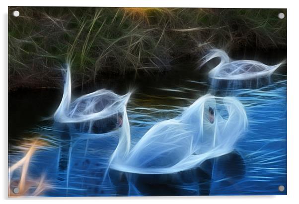 fractal swans Acrylic by kev bates