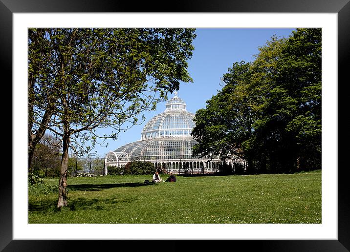 Palm House Framed Mounted Print by phillip murphy