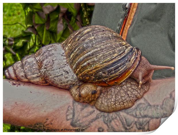 giant african snail Print by Emma Ward