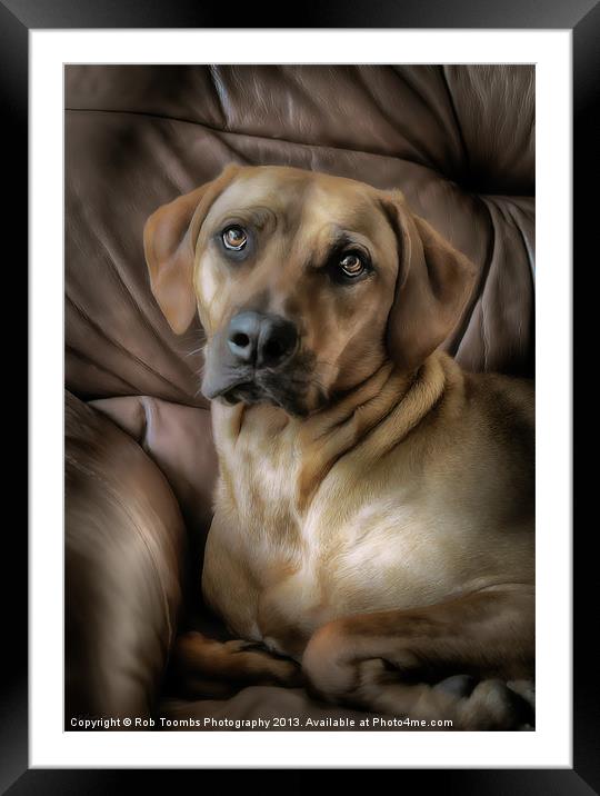 A PROUD PORTRAIT 2 Framed Mounted Print by Rob Toombs