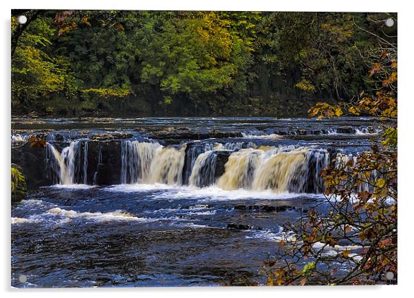Aysgarth Upper Falls Acrylic by Trevor Kersley RIP