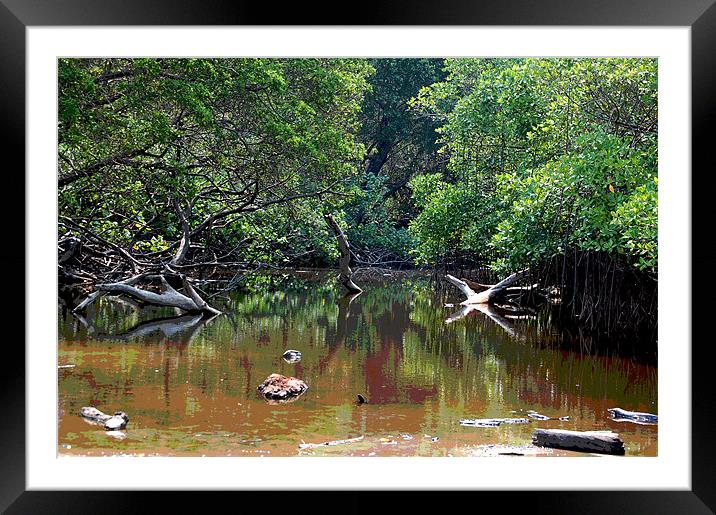 Posterized River Bed Framed Mounted Print by james balzano, jr.