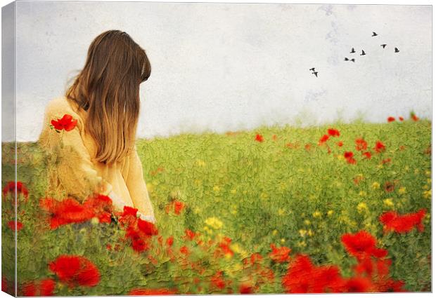 Girl in the Poppies Canvas Print by Dawn Cox