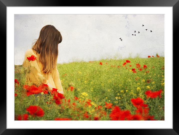 Girl in the Poppies Framed Mounted Print by Dawn Cox
