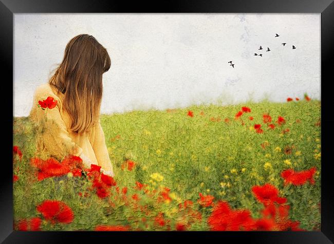 Girl in the Poppies Framed Print by Dawn Cox