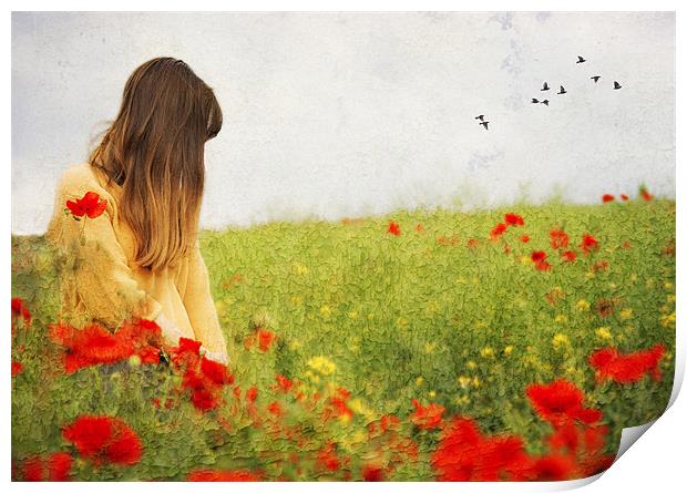 Girl in the Poppies Print by Dawn Cox