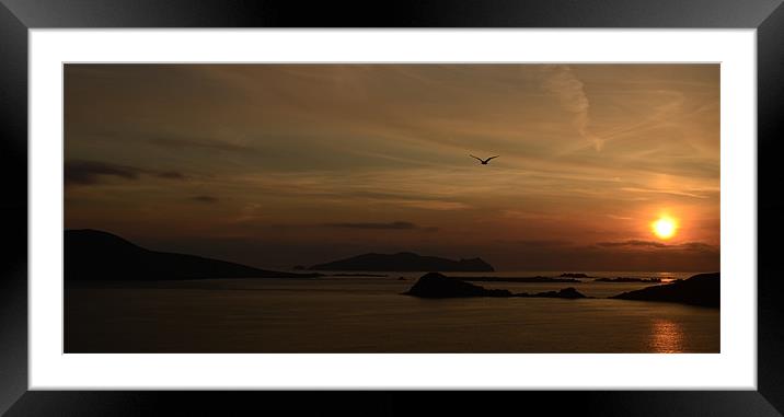 Sunset Blasket Islands Framed Mounted Print by barbara walsh