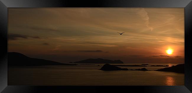 Sunset Blasket Islands Framed Print by barbara walsh