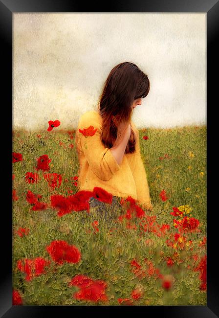 Woman in poppy field Framed Print by Dawn Cox