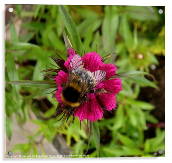 BUSY BEE Acrylic by Jacque Mckenzie