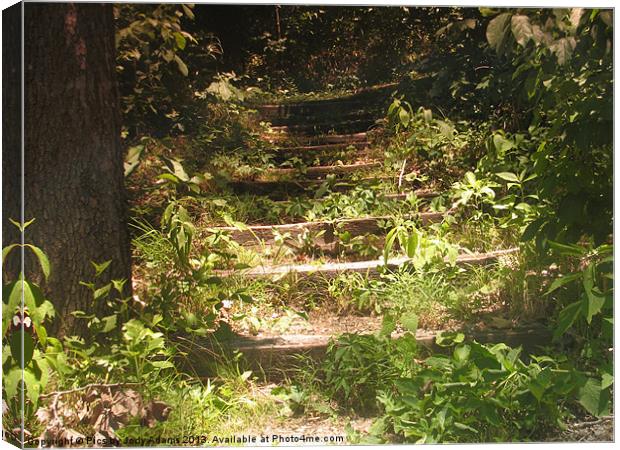 Up the Steps Canvas Print by Pics by Jody Adams