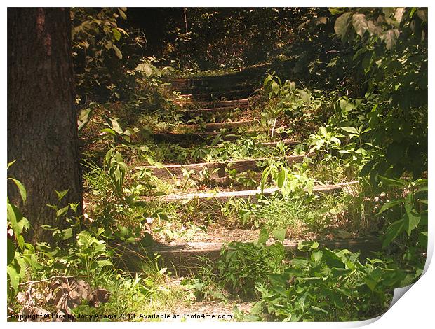 Up the Steps Print by Pics by Jody Adams