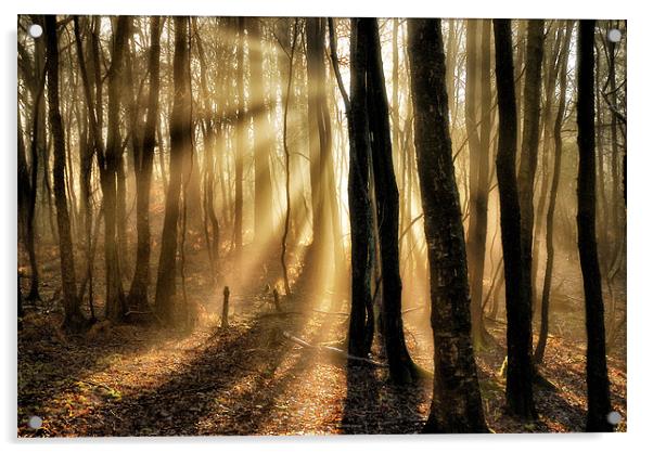 Misty rays Acrylic by Mike Jennings