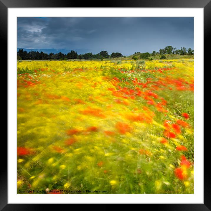 Wild flower meadow long exposure Framed Mounted Print by Izzy Standbridge