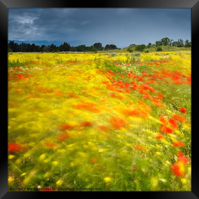 Wild flower meadow long exposure Framed Print by Izzy Standbridge