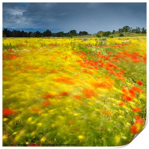 Wild flower meadow long exposure Print by Izzy Standbridge