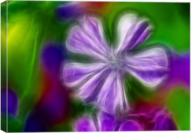 Dream of flowers Canvas Print by richard downes